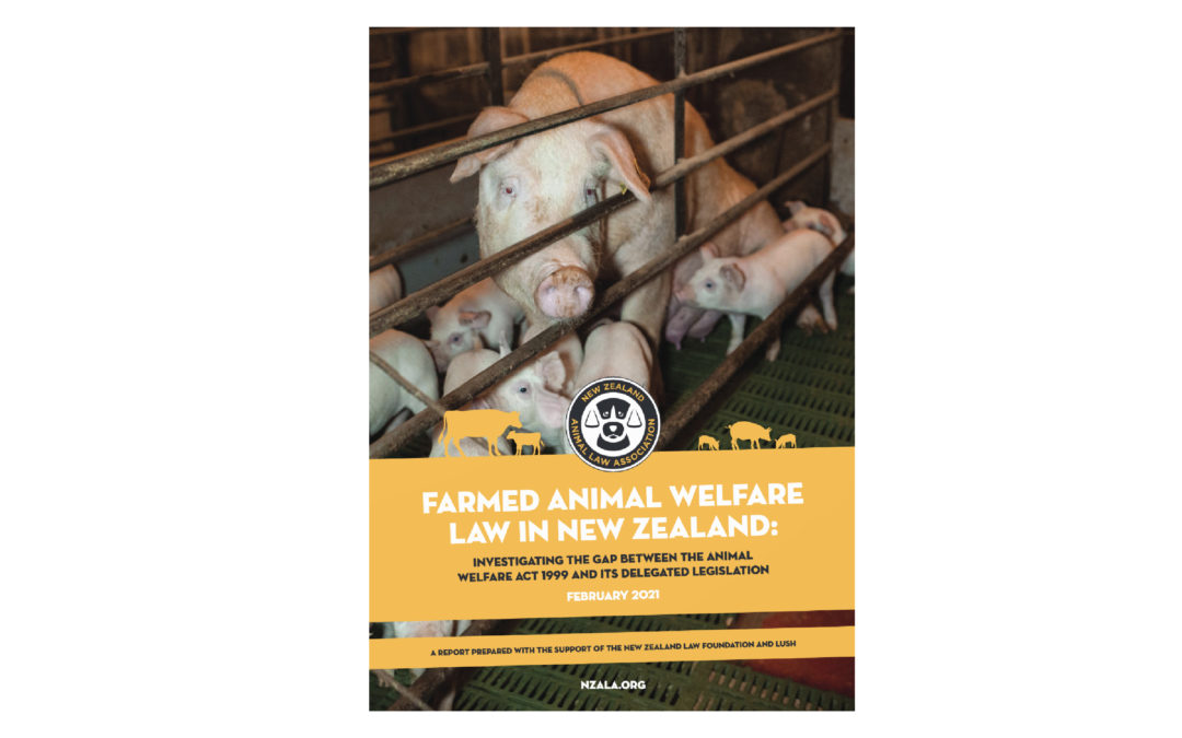 Report: Animal Welfare Law in New Zealand