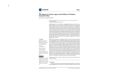 Article: meat chicken welfare – colony cages