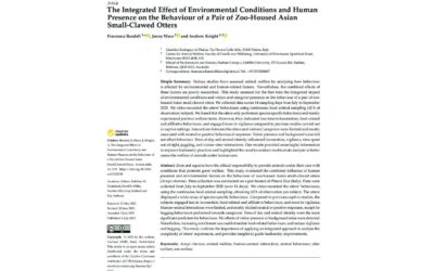 Article: pet food environmental sustainability