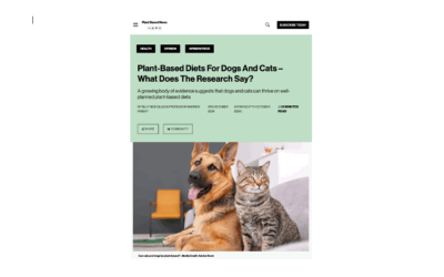 Article: vegan pet health