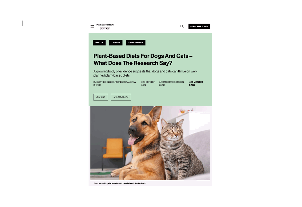 Article: vegan pet health